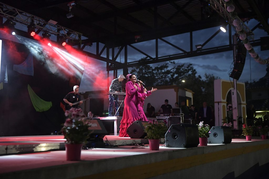 Gala Vente por Sevillanas Ogíjares (Granada)