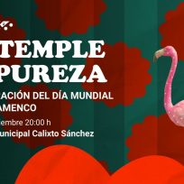 Gala Temple y Pureza Día Internacional del Flamenco